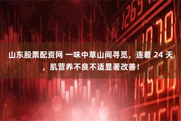 山东股票配资网 一味中草山间寻觅，连着 24 天，肌营养不良不适显著改善！