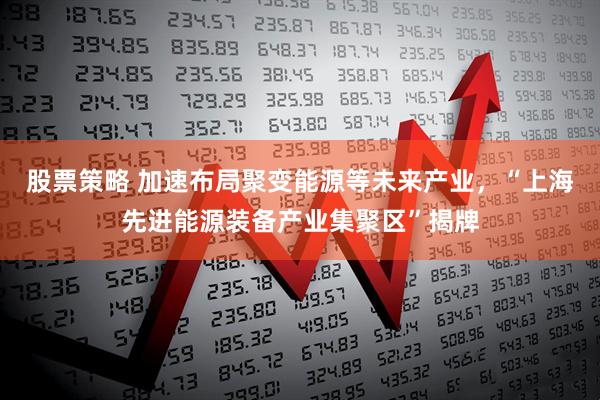 股票策略 加速布局聚变能源等未来产业，“上海先进能源装备产业集聚区”揭牌