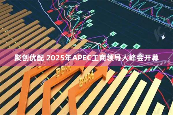 聚创优配 2025年APEC工商领导人峰会开幕