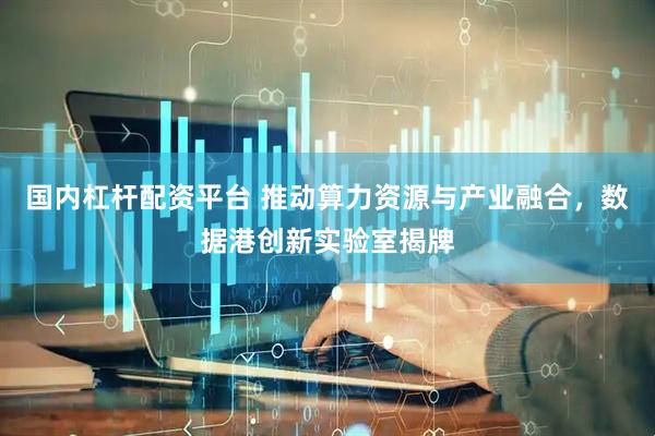 国内杠杆配资平台 推动算力资源与产业融合，数据港创新实验室揭牌