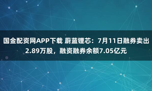 国金配资网APP下载 蔚蓝锂芯：7月11日融券卖出2.89万股，融资融券余额7.05亿元
