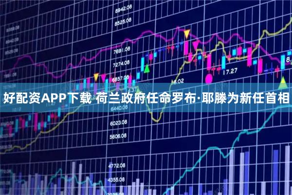 好配资APP下载 荷兰政府任命罗布·耶滕为新任首相