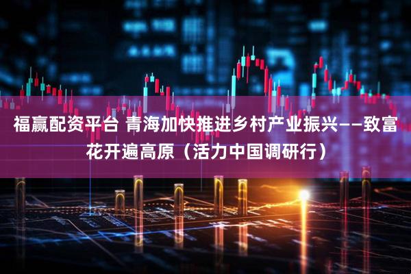 福赢配资平台 青海加快推进乡村产业振兴——致富花开遍高原（活力中国调研行）
