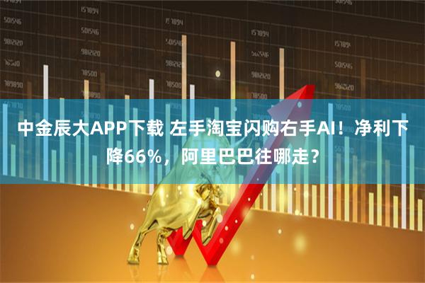中金辰大APP下载 左手淘宝闪购右手AI！净利下降66%，阿里巴巴往哪走？